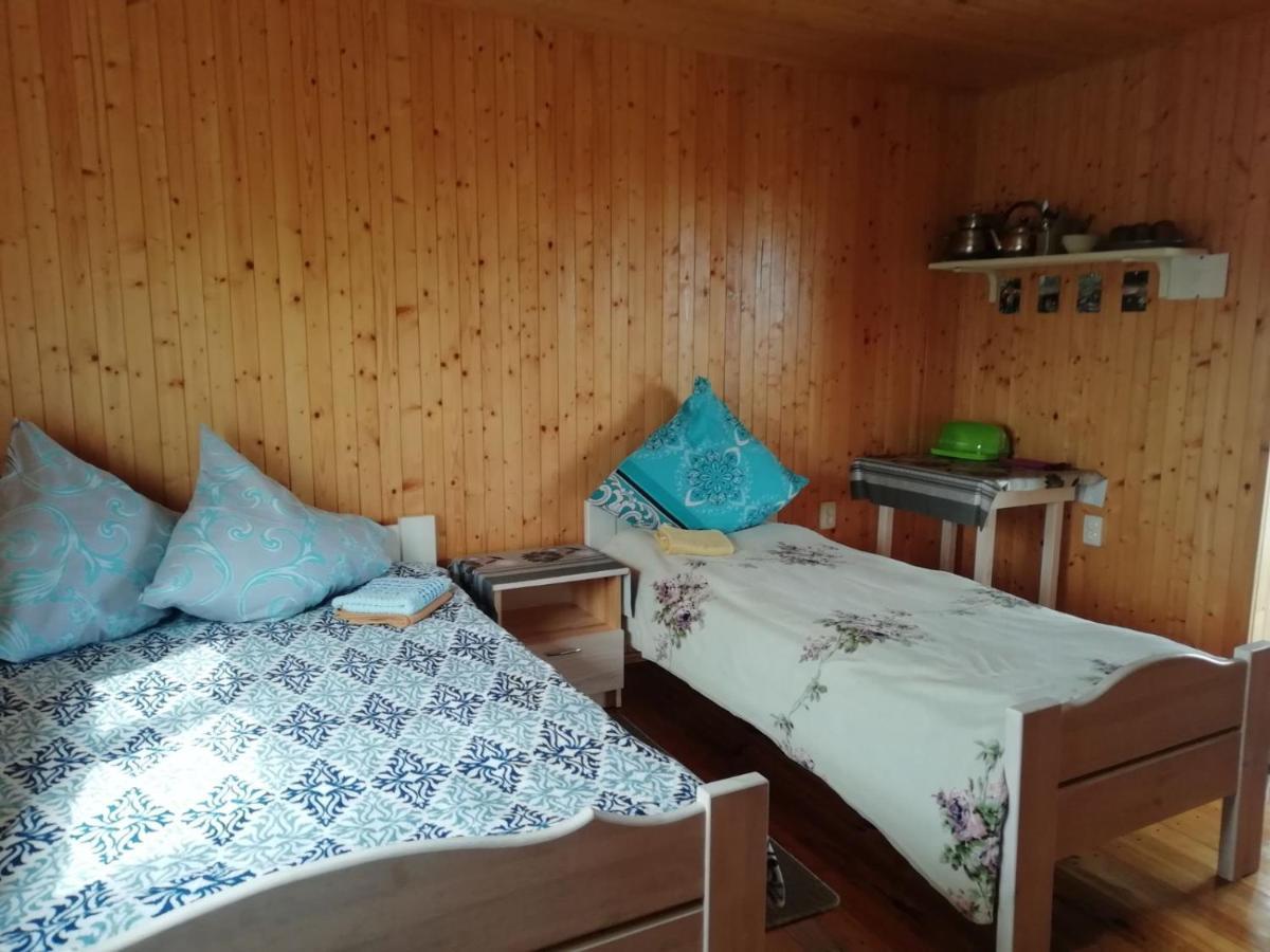 Білий Лебідь Pulemets Екстериор снимка